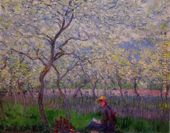 An Orchard in Spring