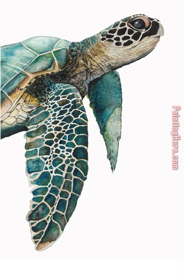 Sea Turtle painting - 2017 new Sea Turtle art painting