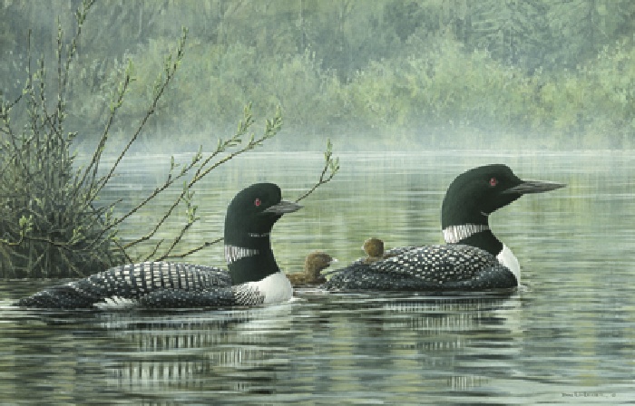 loon painting