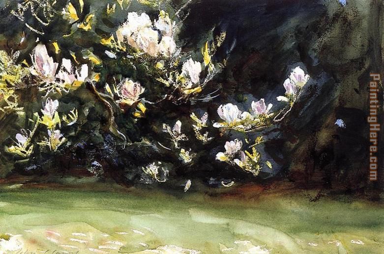 Magnolias painting - John Singer Sargent Magnolias art painting