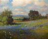 Field