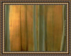 Woodland Walk Framed Paintings - Beech Woodland in Autumn by 2011