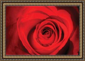American Hearts II Framed Paintings - Red Rose Heart by 2011