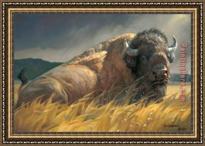 2017 New Framed Paintings - Animal 201712 by 2017 new