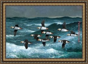 Puffins Over Sea Framed Paintings - Puffins Over Sea by 2017 new