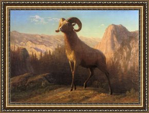 Rocky Coast And Gulls Framed Paintings - A Rocky Mountain Sheep Ovis Montana by Albert Bierstadt