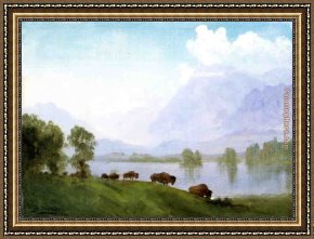 The Buffalo Trail Framed Paintings - Buffalo Country by Albert Bierstadt