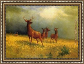 Deer Park Framed Paintings - Deer in a Field by Albert Bierstadt