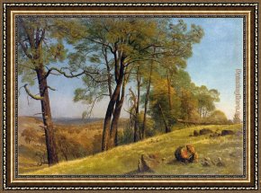 Among The Sierra Nevada Mountains California Framed Paintings - Landscape Rockland County California by Albert Bierstadt