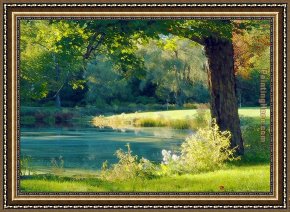 Quiet Pond Framed Paintings - Quiet Pond by Albert Bierstadt