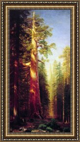 Pear Tree Framed Paintings - The Great Trees Mariposa Grove California by Albert Bierstadt