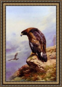 Golden Harvest Framed Paintings - A Golden Eagle by Archibald Thorburn