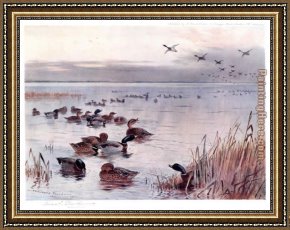 Lake Como Framed Paintings - Mallard on the Lake at Sandringham by Archibald Thorburn