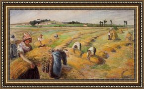 Golden Harvest Framed Paintings - The Harvest 1882 by Camille Pissarro