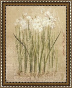 Echo And Narcissus Framed Paintings - Narcissus by Cheri Blum