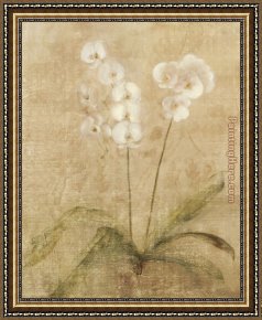 Orchid Framed Paintings - Orchid by Cheri Blum
