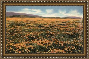 Poppies Framed Paintings - A Field of Californian Poppies by Claude Monet