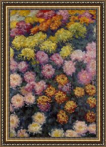 Bed of Chrysanthemums Framed Paintings - Bed of Chrysanthemums by Claude Monet