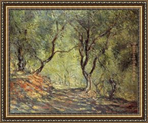 Irises in Monet's Garden Framed Paintings - The Olive Tree Wood in the Moreno Garden by Claude Monet