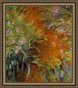 Irises in Monet's Garden Framed Paintings - The Path through the Irises by Claude Monet