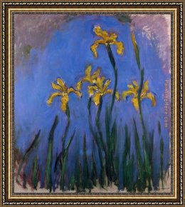 Irises in Monet's Garden Framed Paintings - Yellow Irises 1 by Claude Monet