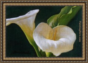 Calla-green Framed Paintings - Calla Lily Duo by David Hardy