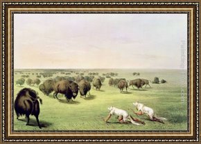The Buffalo Trail Framed Paintings - Hunting Buffalo Camouflaged with Wolf Skins, circa 1832 by George Catlin