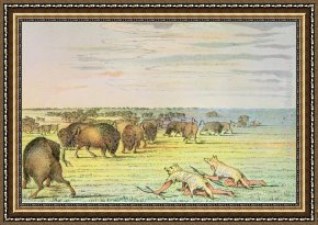The Buffalo Trail Framed Paintings - Stalking Buffalo by George Catlin