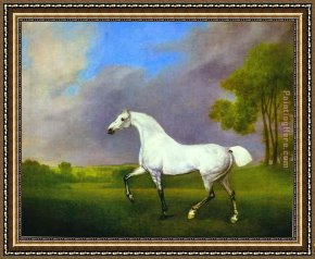 El Bano Del Caballo [the Horse's Bath] Framed Paintings - A Grey Horse by George Stubbs