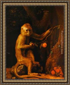 Calla-green Framed Paintings - Green Monkey by George Stubbs