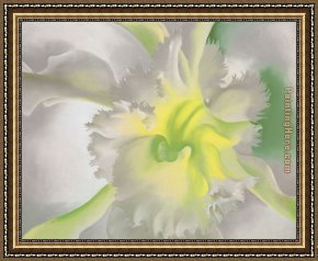 Orchid Framed Paintings - An Orchid 1941 by Georgia O'Keeffe