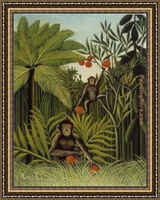 Tropical Framed Paintings - Two Monkeys in the Jungle by Henri Rousseau
