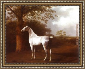 El Bano Del Caballo [the Horse's Bath] Framed Paintings - White Horse in Pasture by Jacques Laurent Agasse