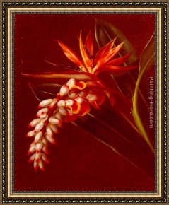 Paradise Framed Paintings - Bird Of Paradise by Johan Laurentz Jensen