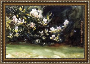 Sargent Framed Paintings - Magnolias by John Singer Sargent