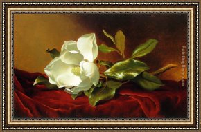 Girl with Red Hair Framed Paintings - A Magnolia on Red Velvet by Martin Johnson Heade