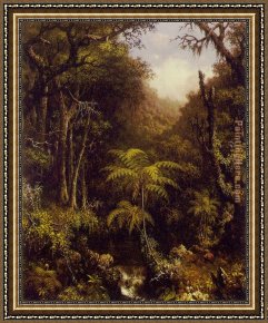 Brazilian Forest Framed Paintings - Brazilian Forest by Martin Johnson Heade