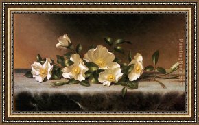 Two Roses on a Tablecloth Framed Paintings - Cherokee Roses On A Light Gray Cloth by Martin Johnson Heade