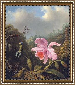 Hummingbird Framed Paintings - Fighting Hummingbirds with Pink Orchid by Martin Johnson Heade