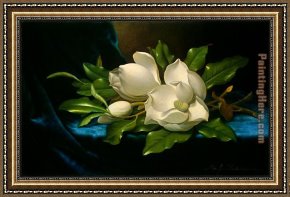 Blue Nude I 1952 Framed Paintings - Giant Magnolias on a Blue Velvet Cloth by Martin Johnson Heade