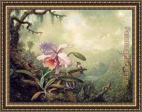 Orchid Framed Paintings - Heliodore's Woodstar and a Pink Orchid by Martin Johnson Heade
