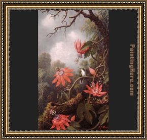 Hummingbird Framed Paintings - Hummingbird and Passionflowers by Martin Johnson Heade