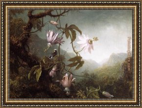 Hummingbird Framed Paintings - Hummingbird Perched near Passion Flowers by Martin Johnson Heade