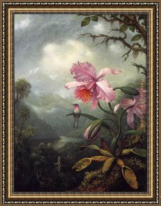 Hummingbird Framed Paintings - Hummingbird Perched on an Orchid Plant by Martin Johnson Heade