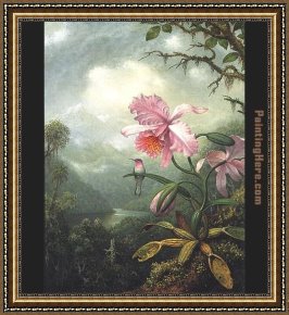 Hummingbird Framed Paintings - Hummingbird Perched on an Orchid Plat by Martin Johnson Heade