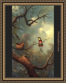 Hummingbird Framed Paintings - Hummingbirds 1870 by Martin Johnson Heade