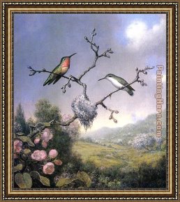 Hummingbird Framed Paintings - Hummingbirds and Apple Blossoms by Martin Johnson Heade
