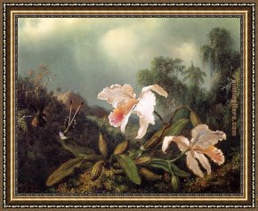 Hummingbird Framed Paintings - Jungle Orchids and Hummingbirds by Martin Johnson Heade