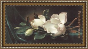 Those Blossoms You Gave So Freely 4 Framed Paintings - Magnolia Blossoms on Blue Velvet by Martin Johnson Heade