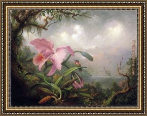 Hummingbird Framed Paintings - Orchid and Hummingbird by Martin Johnson Heade